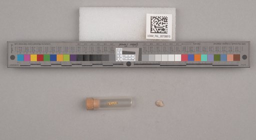 NSF ADBC EPICC TCN