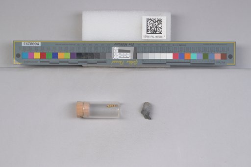 NSF ADBC EPICC TCN
