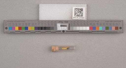 NSF ADBC EPICC TCN