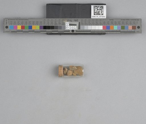 NSF ADBC EPICC TCN