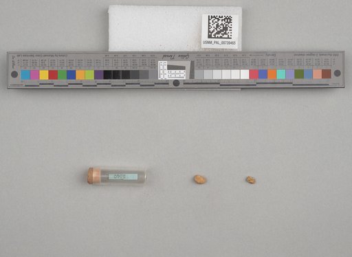 NSF ADBC EPICC TCN