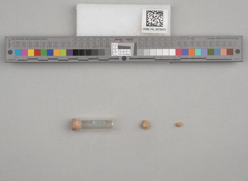 NSF ADBC EPICC TCN