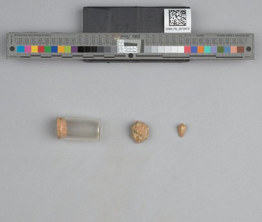 NSF ADBC EPICC TCN