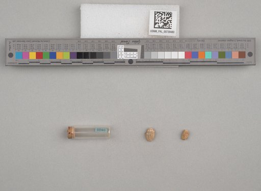 NSF ADBC EPICC TCN