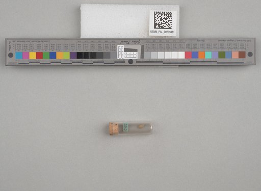 NSF ADBC EPICC TCN