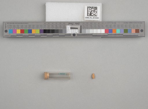NSF ADBC EPICC TCN