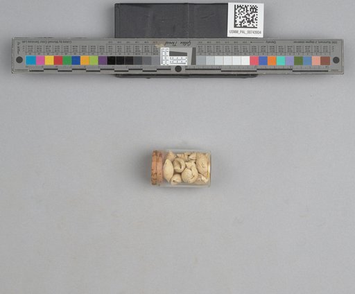 NSF ADBC EPICC TCN