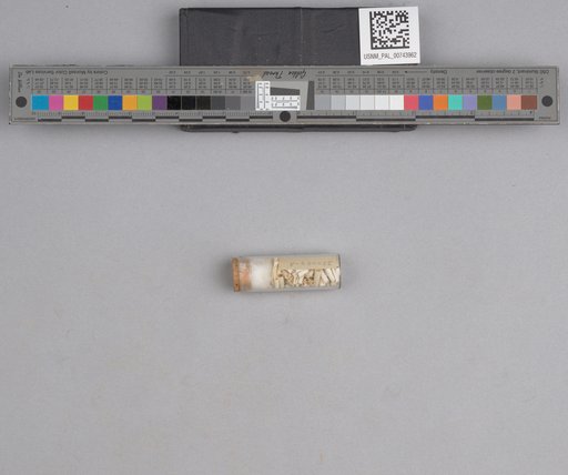 NSF ADBC EPICC TCN