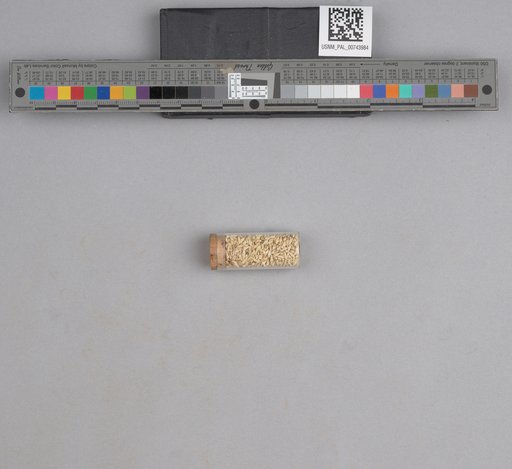 NSF ADBC EPICC TCN