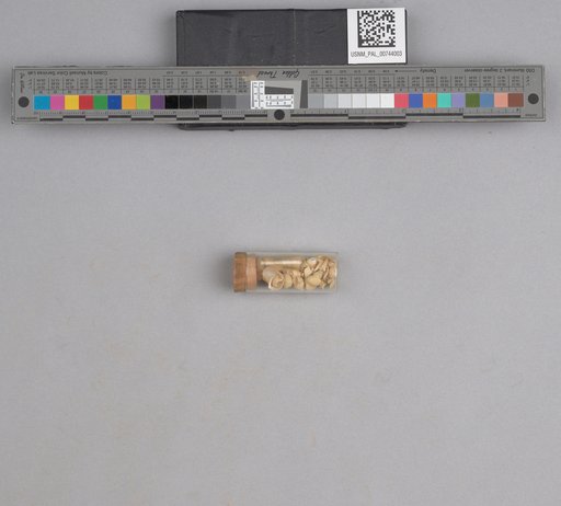 NSF ADBC EPICC TCN