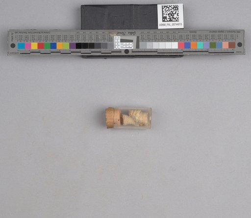 NSF ADBC EPICC TCN