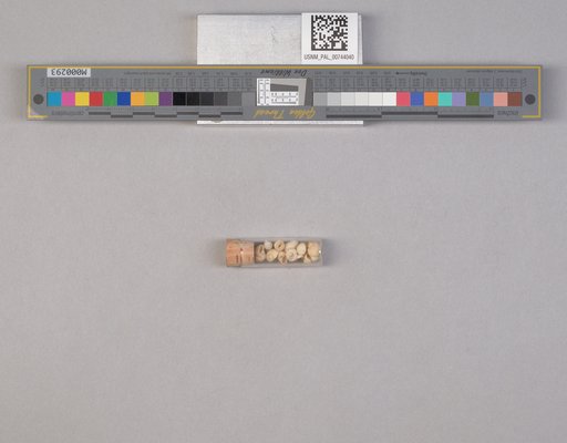 NSF ADBC EPICC TCN