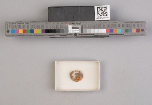 NSF ADBC EPICC TCN