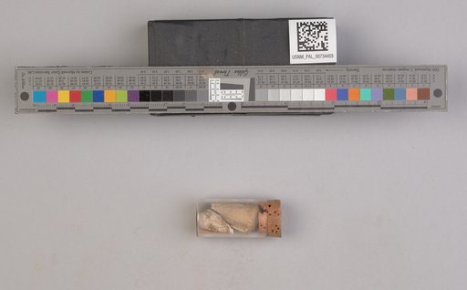 NSF ADBC EPICC TCN