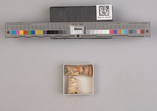 NSF ADBC EPICC TCN