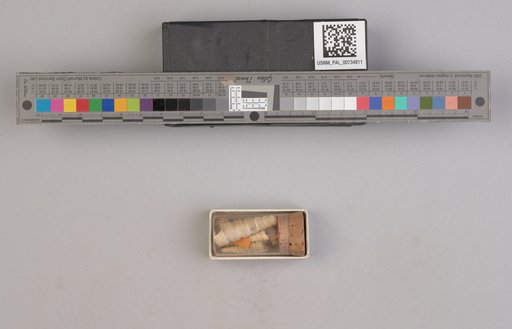 NSF ADBC EPICC TCN