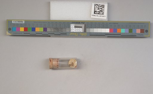 NSF ADBC EPICC TCN