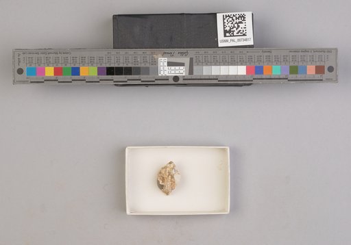 NSF ADBC EPICC TCN