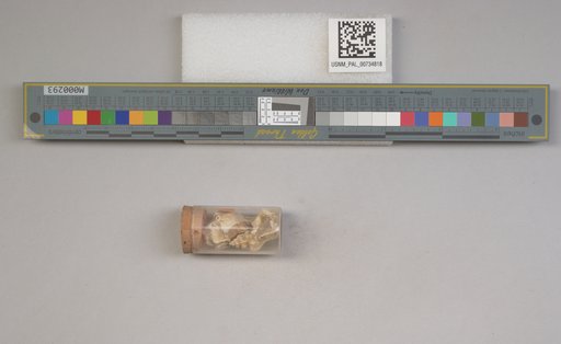 NSF ADBC EPICC TCN