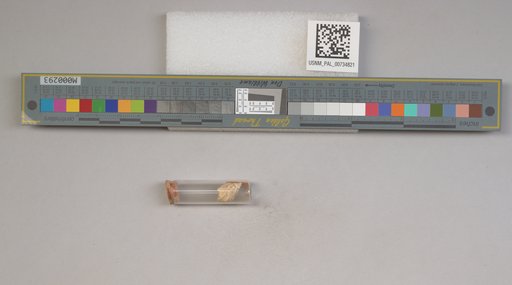 NSF ADBC EPICC TCN