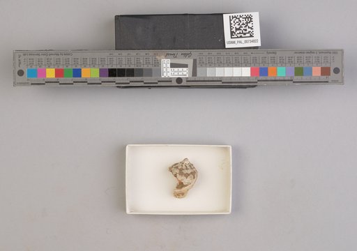 NSF ADBC EPICC TCN