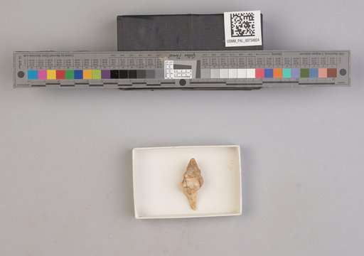 NSF ADBC EPICC TCN