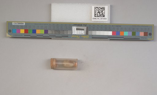 NSF ADBC EPICC TCN