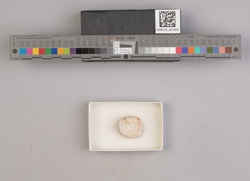 NSF ADBC EPICC TCN