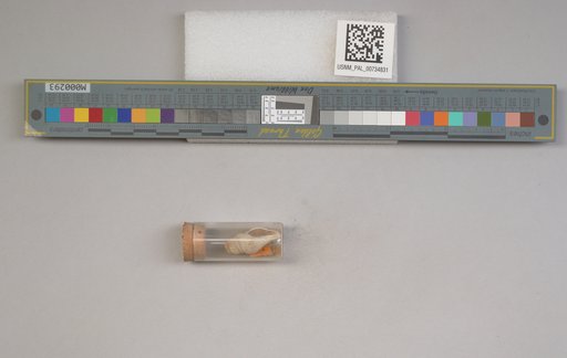 NSF ADBC EPICC TCN