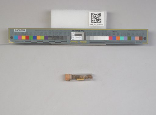 NSF ADBC EPICC TCN