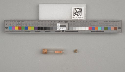 NSF ADBC EPICC TCN