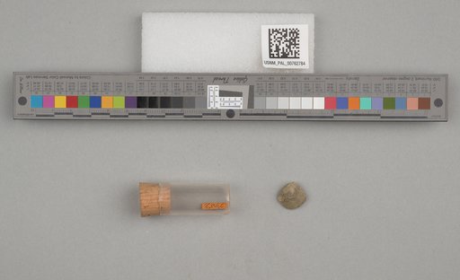 NSF ADBC EPICC TCN