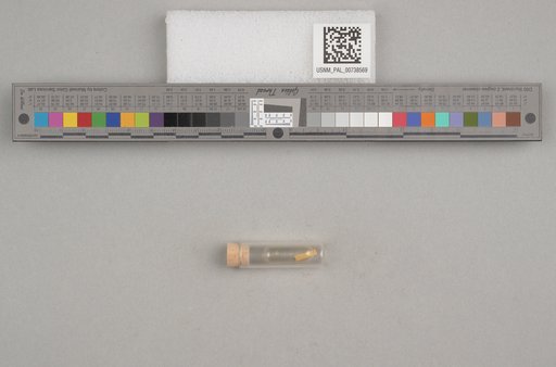 NSF ADBC EPICC TCN