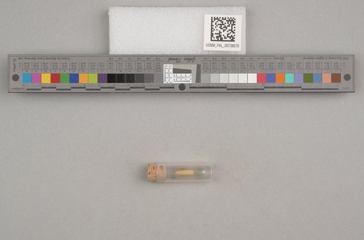 NSF ADBC EPICC TCN