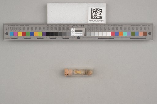 NSF ADBC EPICC TCN
