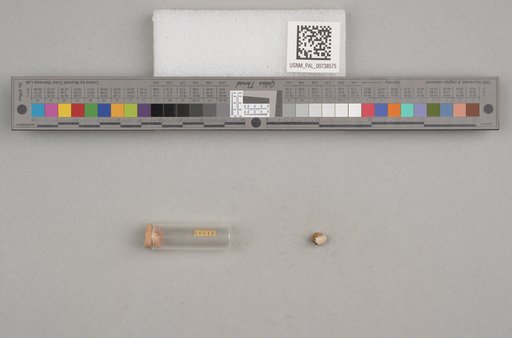 NSF ADBC EPICC TCN