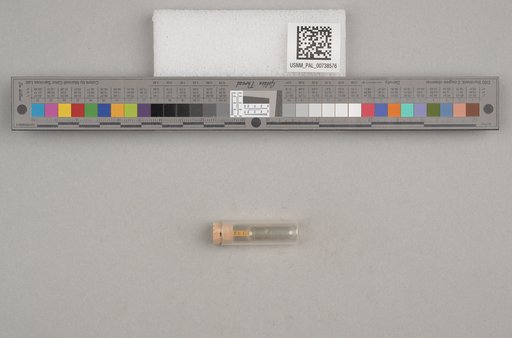 NSF ADBC EPICC TCN