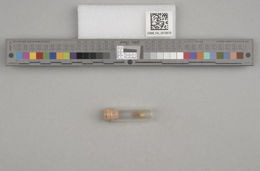 NSF ADBC EPICC TCN