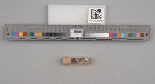 NSF ADBC EPICC TCN