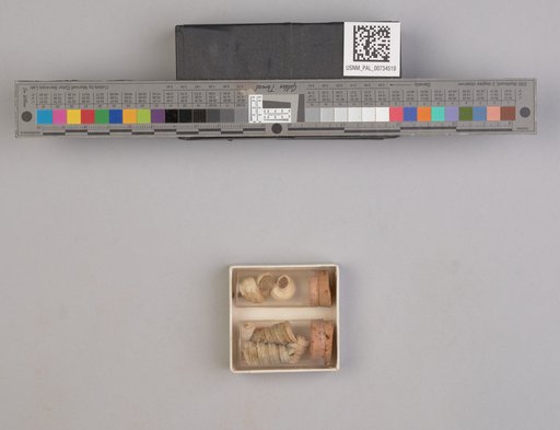 NSF ADBC EPICC TCN