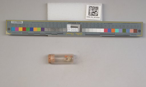 NSF ADBC EPICC TCN