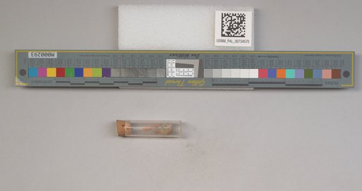 NSF ADBC EPICC TCN