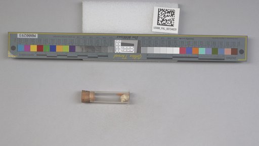 NSF ADBC EPICC TCN