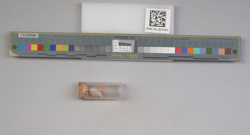 NSF ADBC EPICC TCN