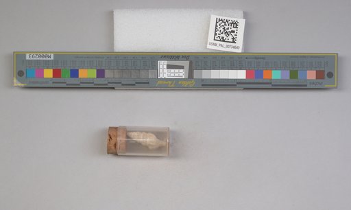 NSF ADBC EPICC TCN