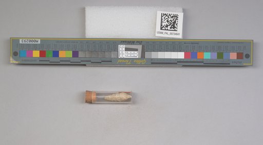 NSF ADBC EPICC TCN