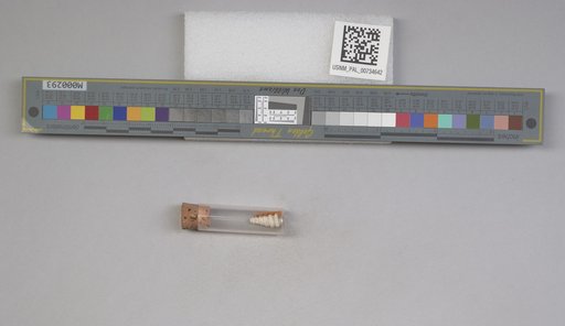 NSF ADBC EPICC TCN
