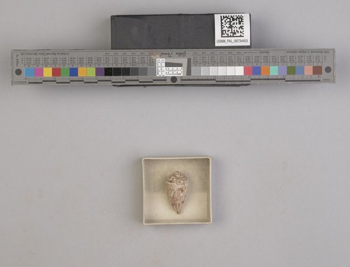 NSF ADBC EPICC TCN