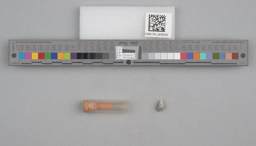 NSF ADBC EPICC TCN