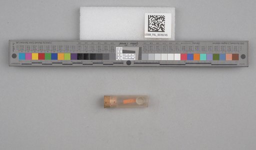 NSF ADBC EPICC TCN